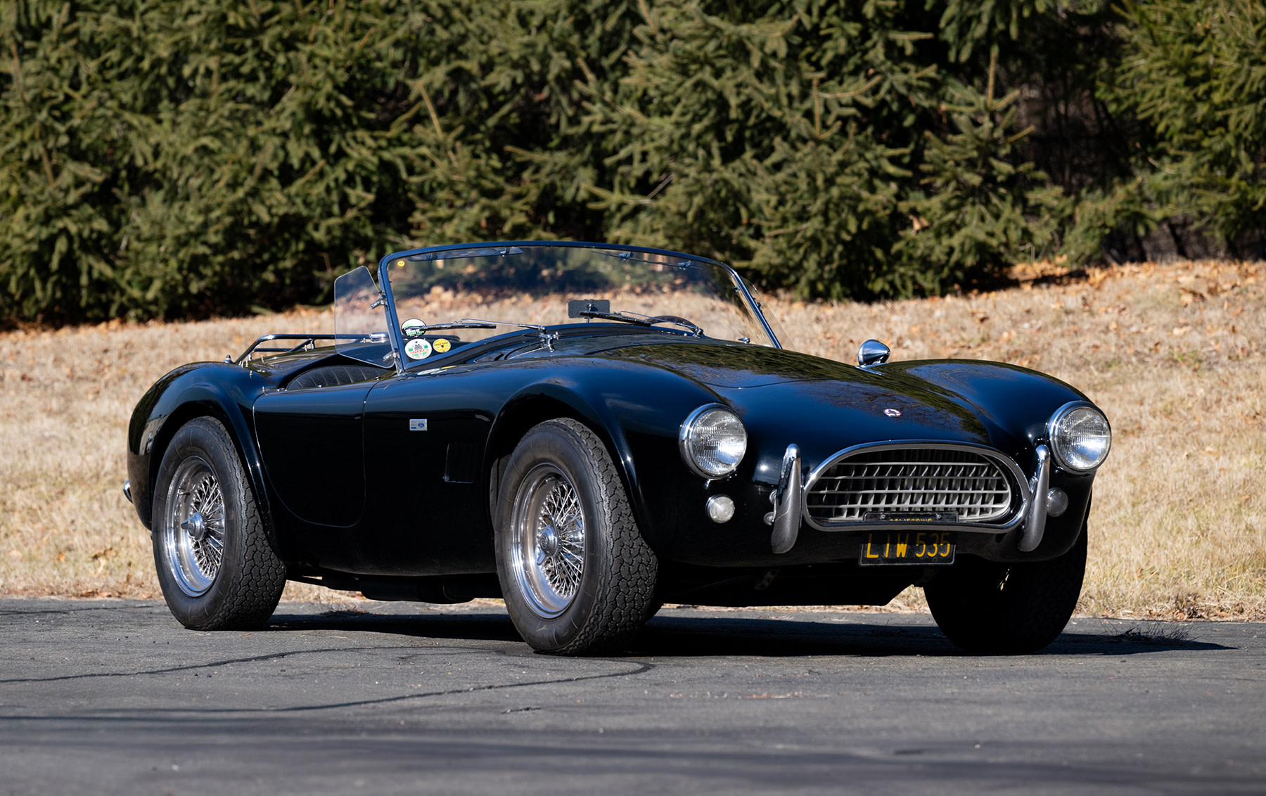1964 Shelby 289 Cobra | Gooding Christie's